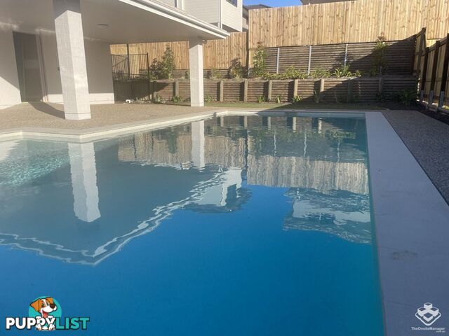 45/16 Nigella Street Dakabin QLD 4503