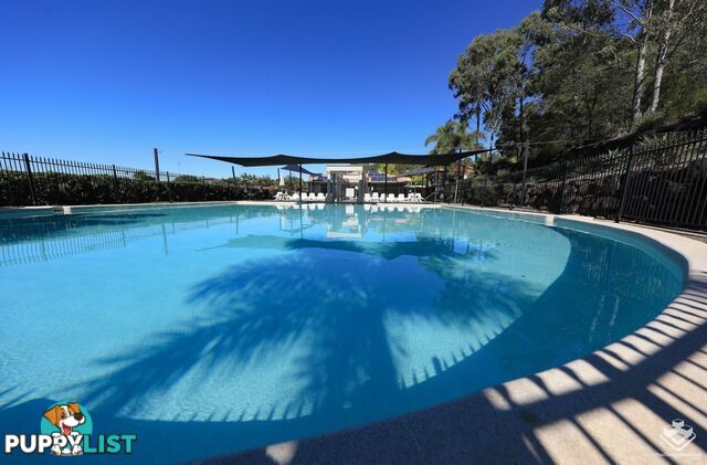 31 Langport Parade Mudgeeraba QLD 4213