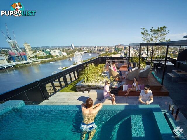 ID:21156772 77 Grey Street South Brisbane Qld 4101