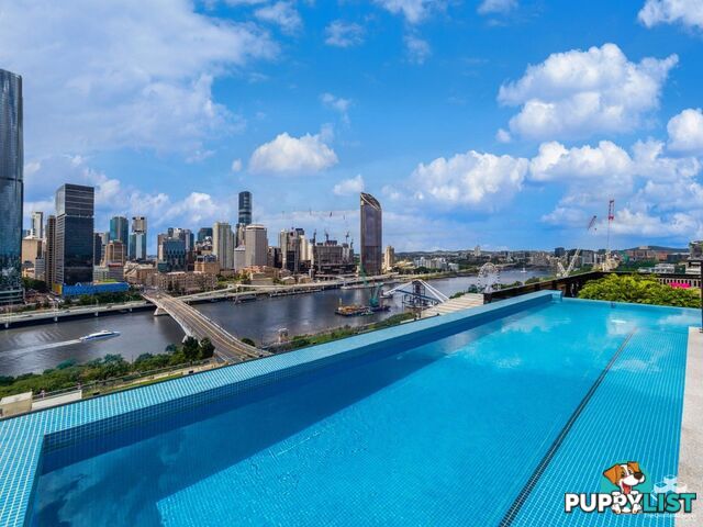 ID:21156772 77 Grey Street South Brisbane Qld 4101