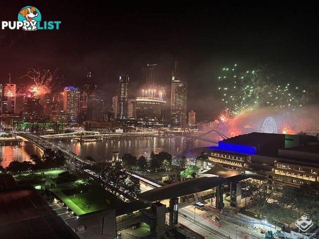 ID:21156772 77 Grey Street South Brisbane QLD 4101