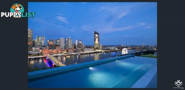 ID:21156772 77 Grey Street South Brisbane Qld 4101