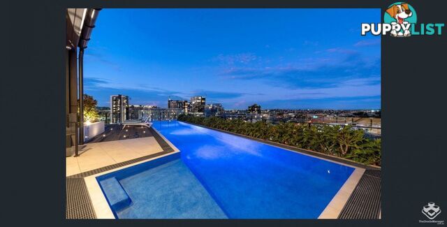 002/27 Commercial Road Newstead QLD 4006