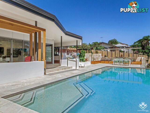 ID:21152973 8 Russell Street Everton Park QLD 4053