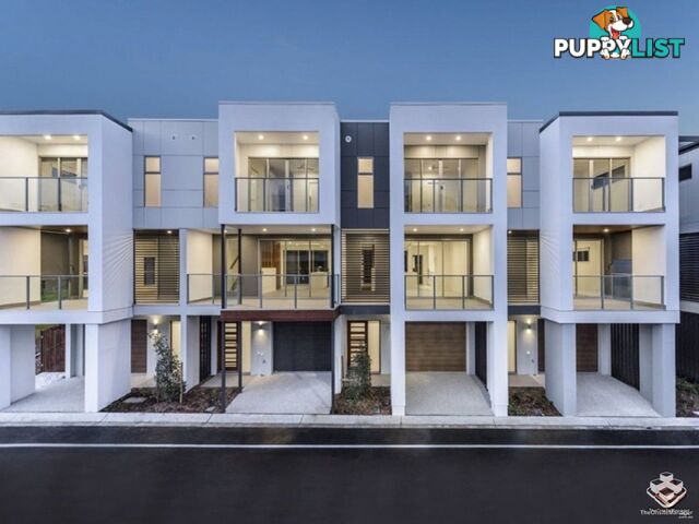 ID:21152973 8 Russell Street Everton Park QLD 4053