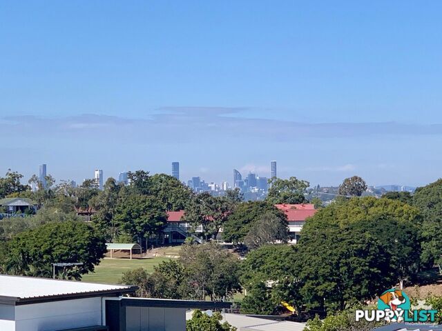 ID:21152973 8 Russell Street Everton Park QLD 4053