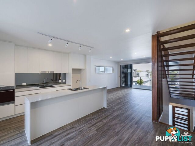 ID:21152973 8 Russell Street Everton Park QLD 4053