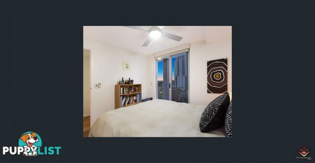 ID:21120688/21-31 Cypress Avenue Surfers Paradise QLD 4217