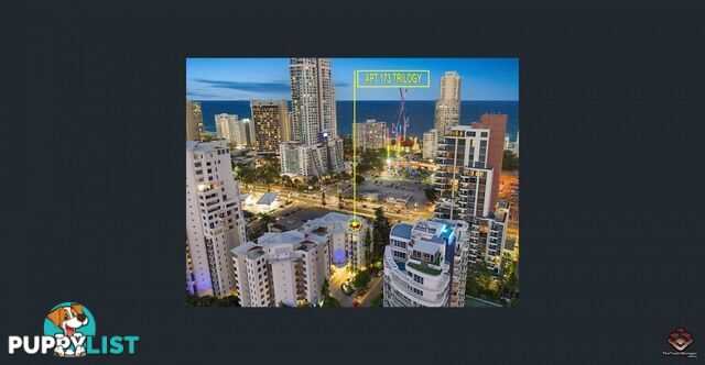 ID:21120688/21-31 Cypress Avenue Surfers Paradise QLD 4217