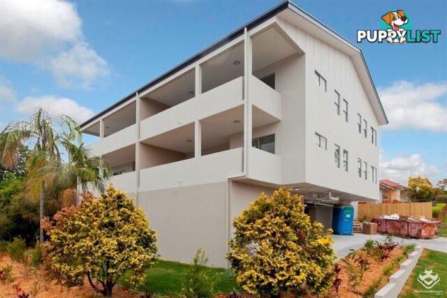 ID:21094878 1241 Logan Road Mount Gravatt QLD 4122