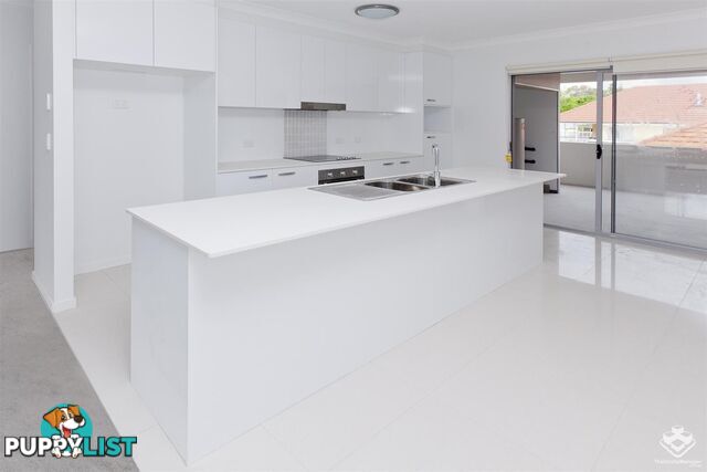 ID:21094878 1241 Logan Road Mount Gravatt QLD 4122