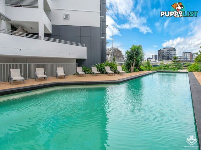 6 Exford Street Brisbane City QLD 4000