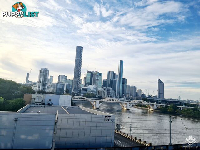 6 Exford Street Brisbane City QLD 4000