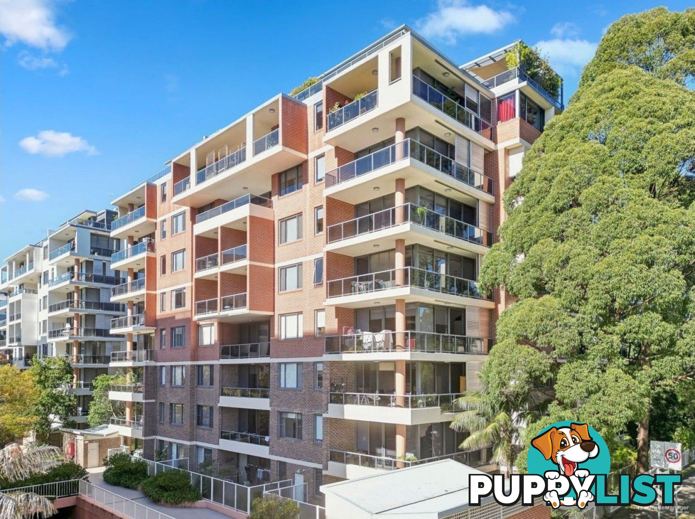 213/19-25 Leonard St Waitara NSW 2077