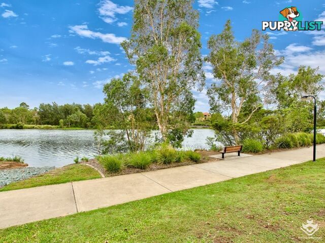 ID:21152095 25 The Corso North Lakes QLD 4509