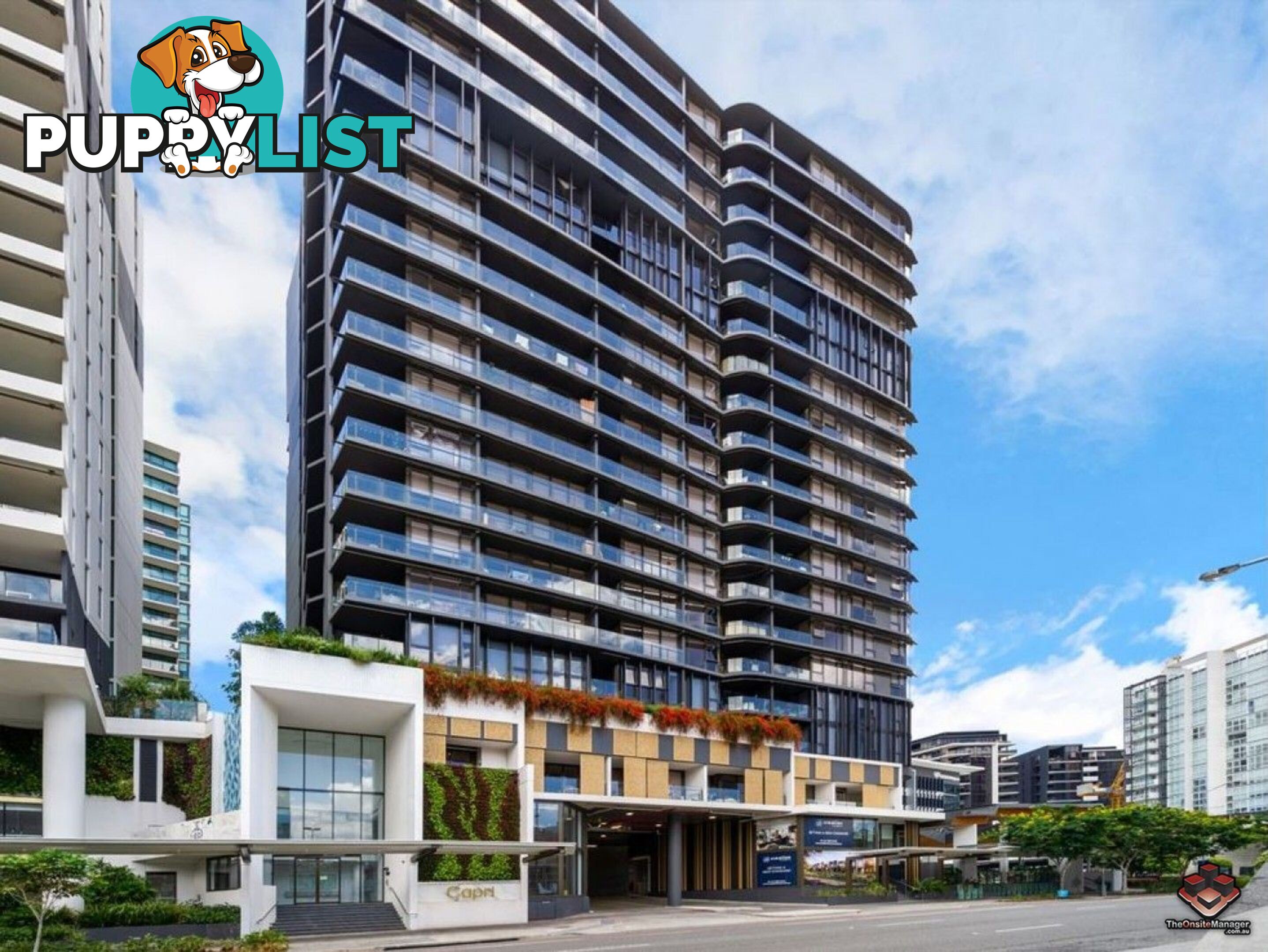 ID:21130934/1055 Ann Street Fortitude Valley QLD 4006