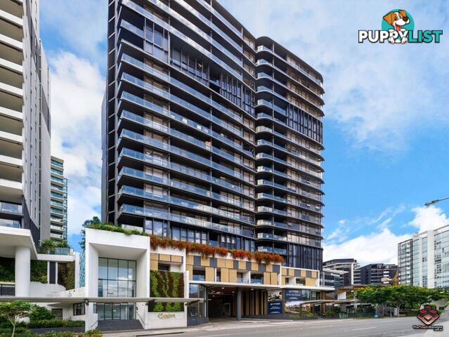 ID:21130934/1055 Ann Street Fortitude Valley QLD 4006