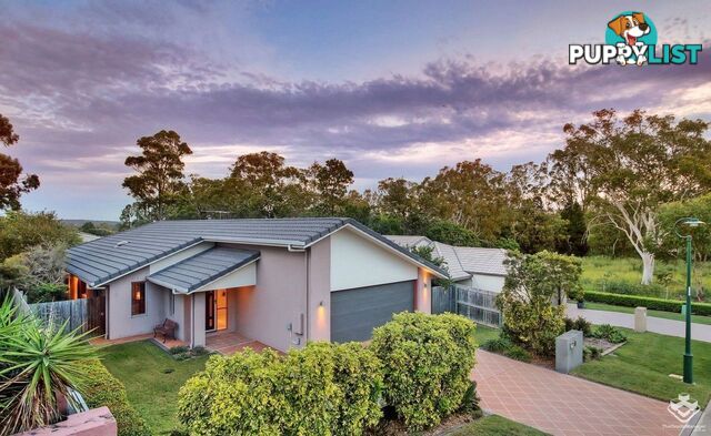 8 Sumayyah Place Calamvale QLD 4116