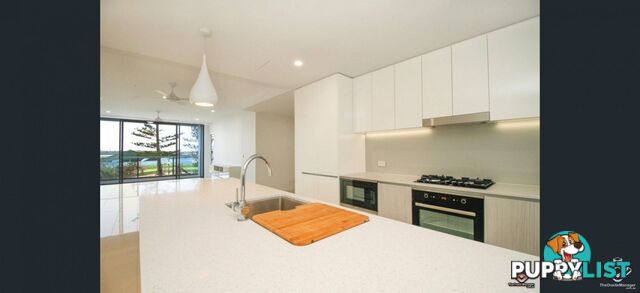 ID:21156658 388 Marine Parade Labrador QLD 4215