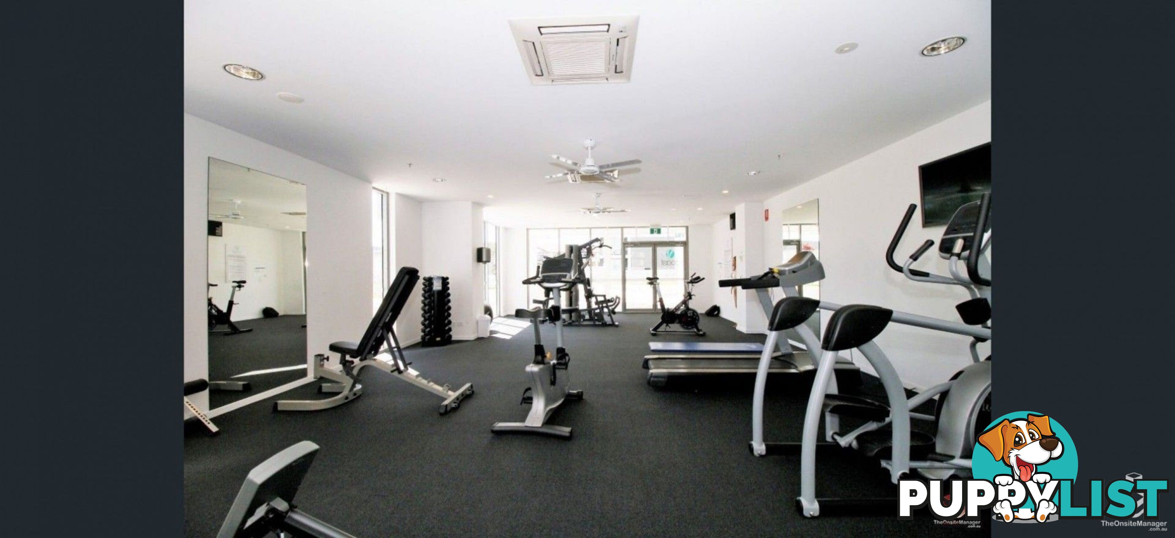 ID:21156658 388 Marine Parade Labrador QLD 4215
