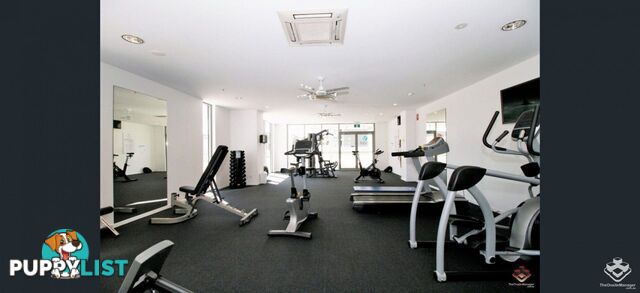 ID:21156658 388 Marine Parade Labrador QLD 4215