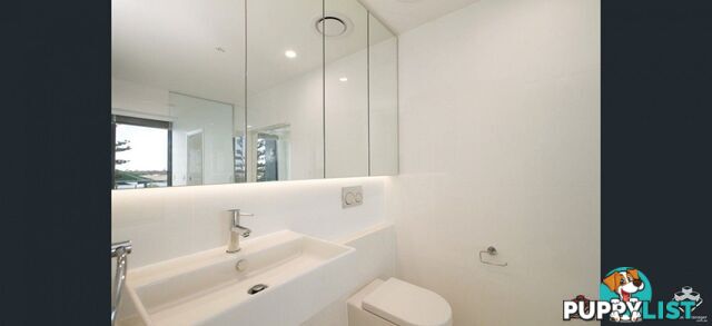 ID:21156658 388 Marine Parade Labrador QLD 4215