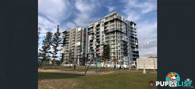 ID:21156658 388 Marine Parade Labrador QLD 4215