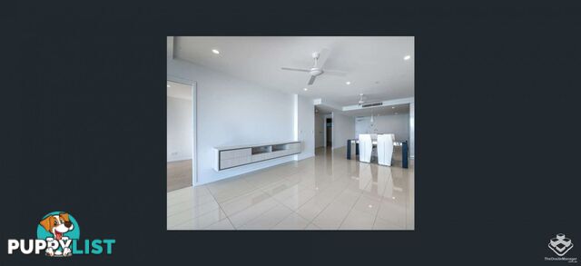 ID:21156658 388 Marine Parade Labrador QLD 4215