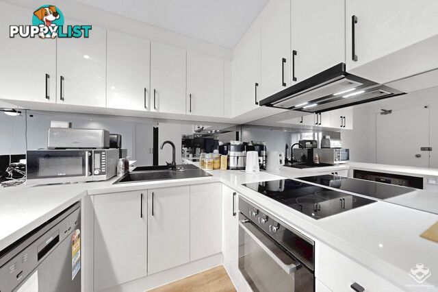 25/7-17 Purli Street Chevron Island QLD 4217