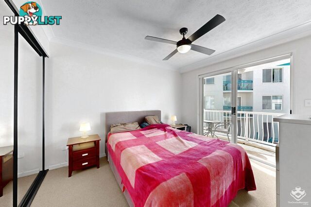25/7-17 Purli Street Chevron Island QLD 4217