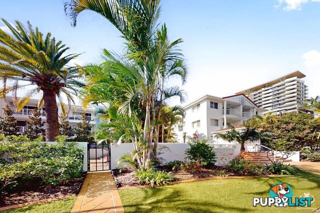 25/7-17 Purli Street Chevron Island QLD 4217