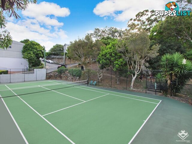 ID:21153634 7 Boyd Street Bowen Hills QLD 4006