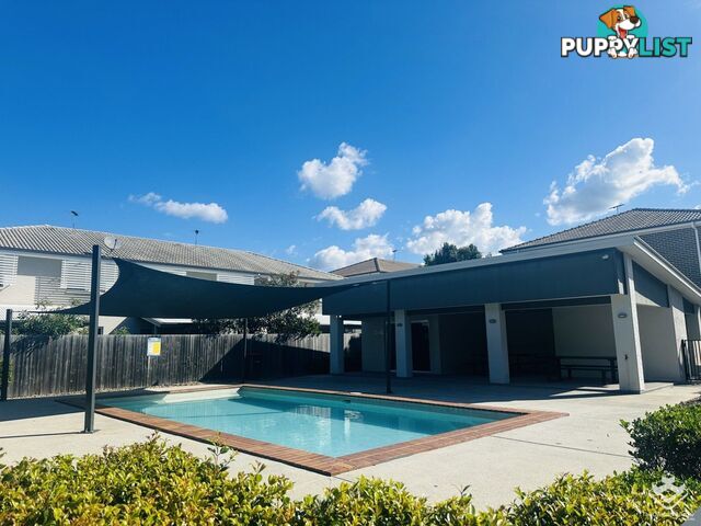 ID:21152934 325 Stanley Street Brendale QLD 4500