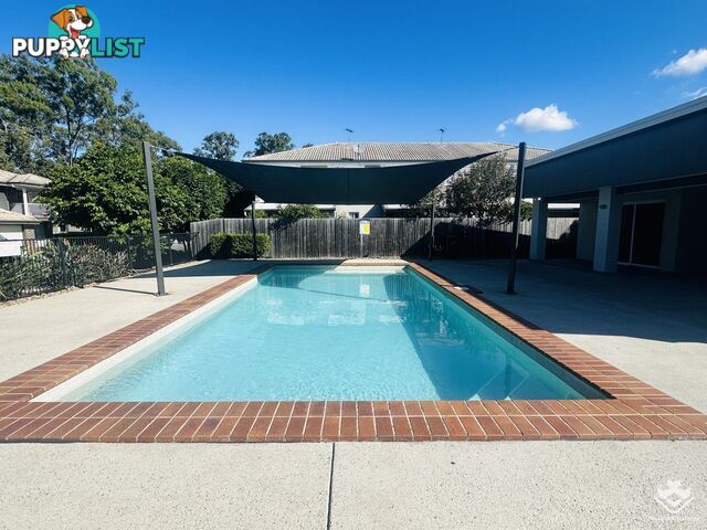 ID:21152934 325 Stanley Street Brendale QLD 4500