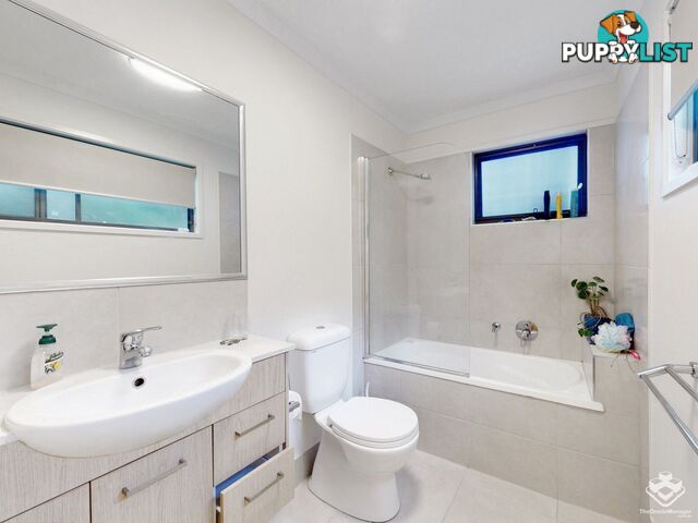 ID:21155044 111 Soames Street Everton Park QLD 4053
