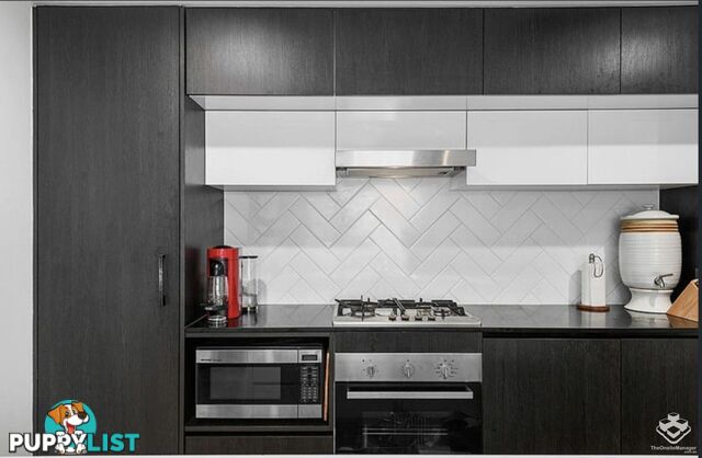 ID:21158676 573 Coronation Drive Toowong QLD 4066