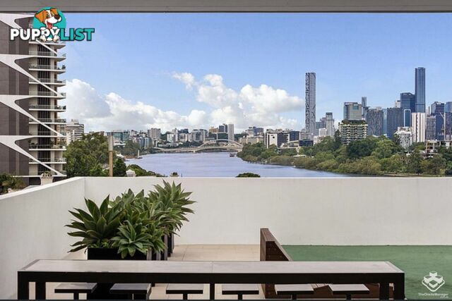 ID:21158676 573 Coronation Drive Toowong QLD 4066