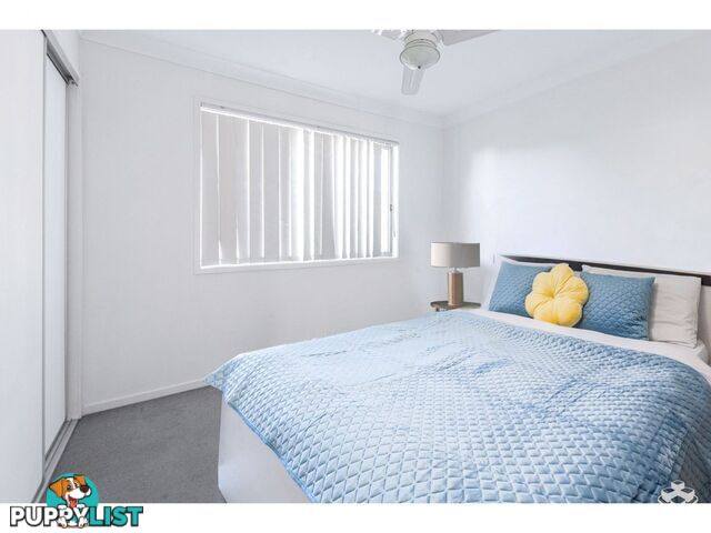 55/11 Penny Street Algester QLD 4115
