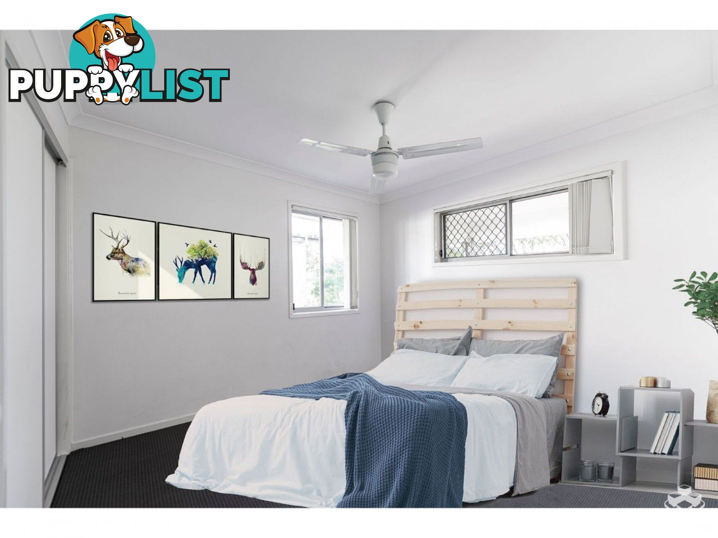 55/11 Penny Street Algester QLD 4115