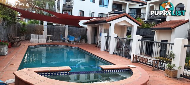 ID:21158079 15 Owens Lane Southport QLD 4215
