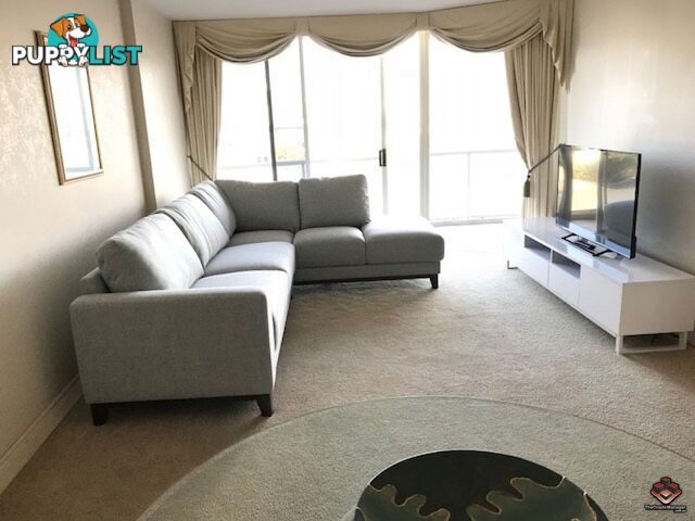 ID:3878281 8 Byron Street Bulimba QLD 4171