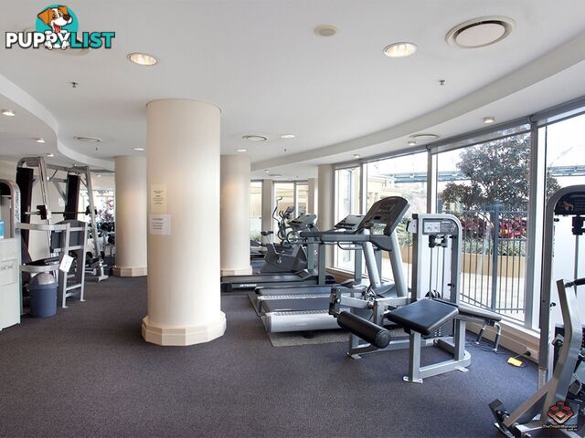 ID:3878281 8 Byron Street Bulimba QLD 4171