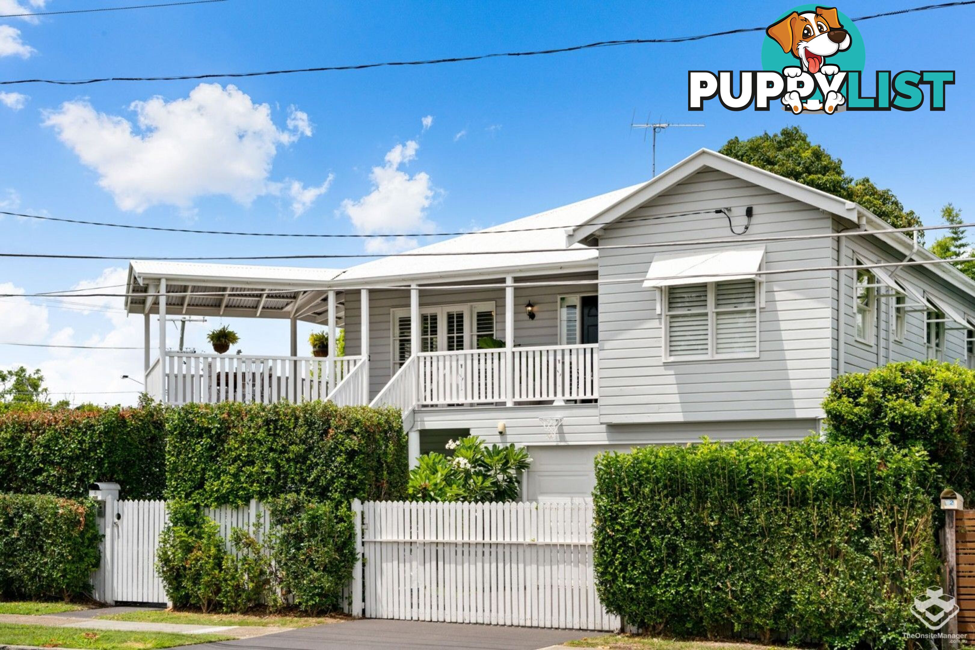 ID:3878281 8 Byron Street Bulimba QLD 4171