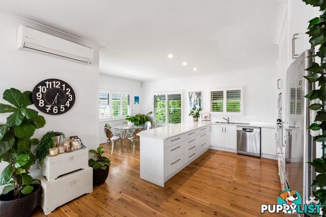 ID:3878281 8 Byron Street Bulimba QLD 4171