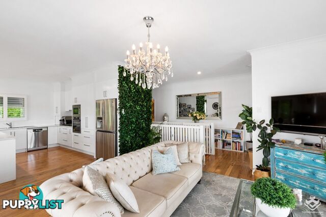 ID:3878281 8 Byron Street Bulimba QLD 4171