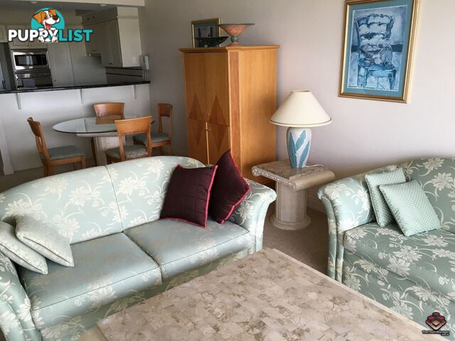 ID:3878281 8 Byron Street Bulimba QLD 4171