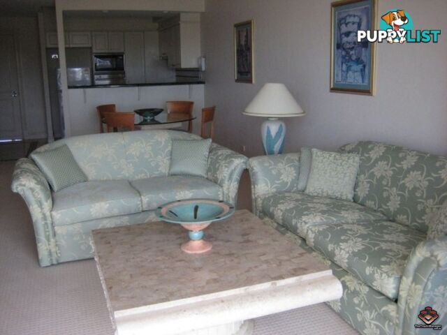 ID:3878281 8 Byron Street Bulimba QLD 4171