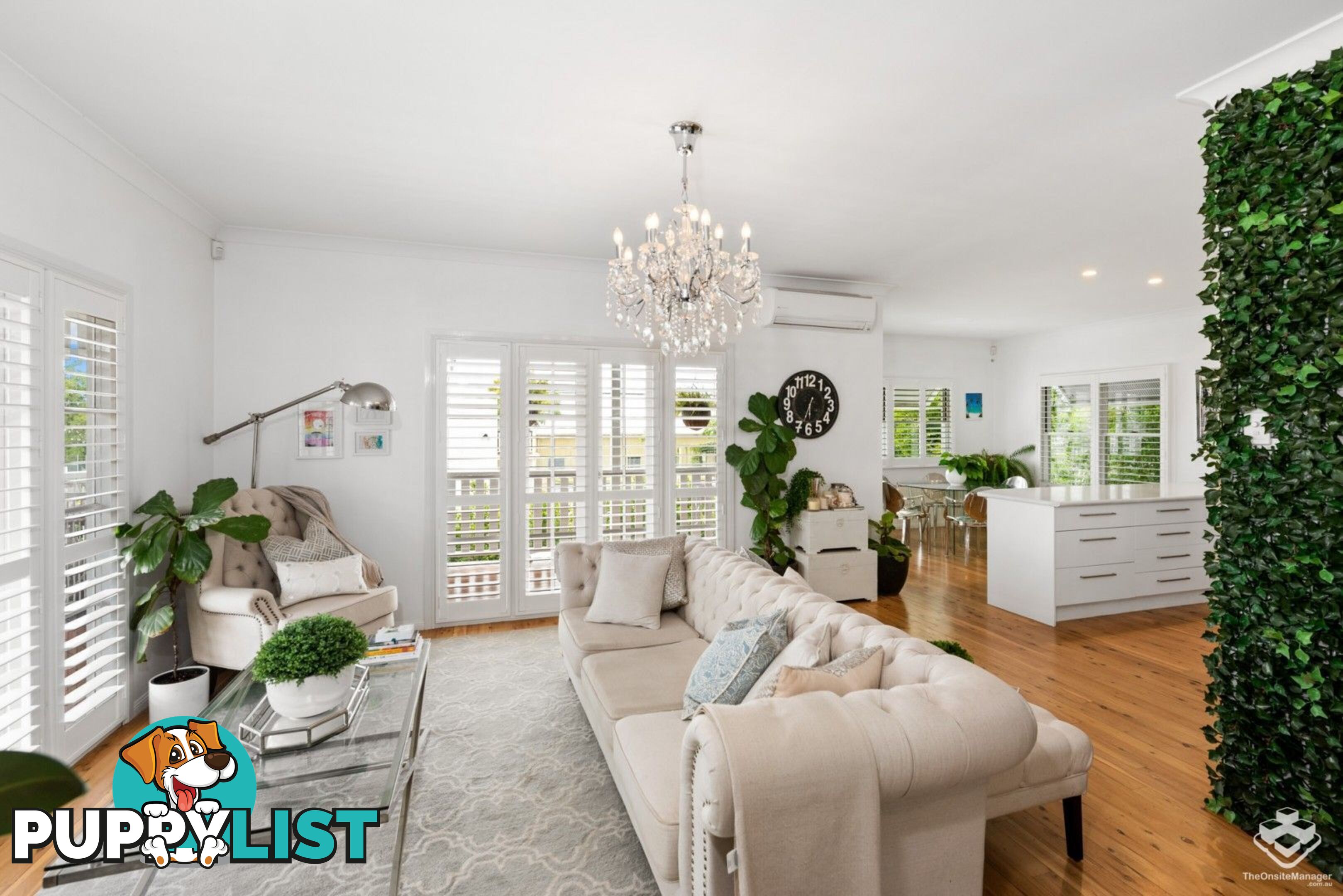 ID:3878281 8 Byron Street Bulimba QLD 4171