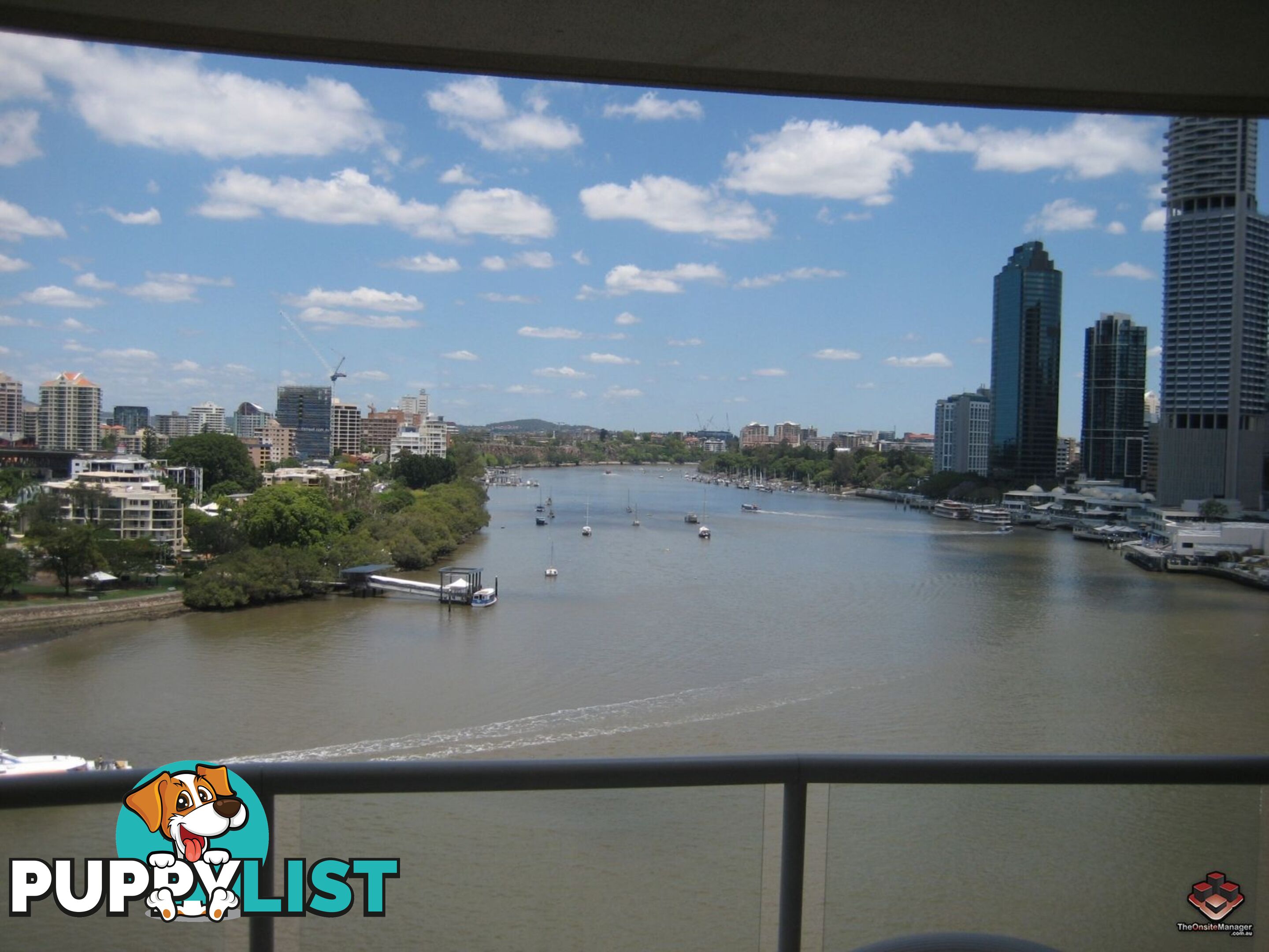 ID:3878281 8 Byron Street Bulimba QLD 4171
