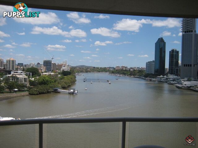 ID:3878281 8 Byron Street Bulimba QLD 4171